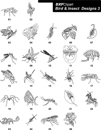 DXF Bird & Insect Designs 3