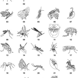 DXF Bird & Insect Designs 3