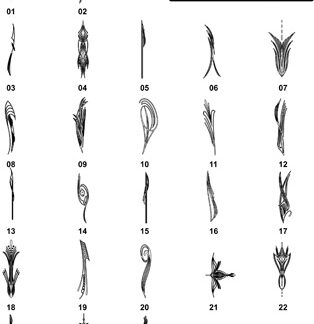 DXF Border Pieces & Ornament Designs-16