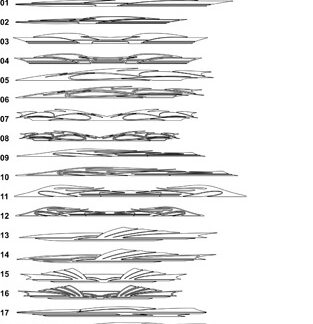 DXF Custom Pinstripe-12a