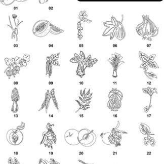 DXF Fruit & Vegetable Designs 3