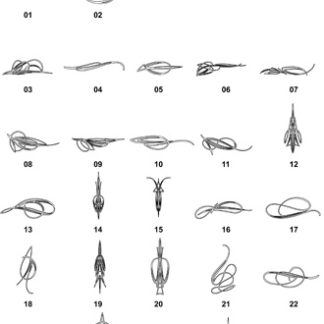 DXF Pinstripe Designs 2