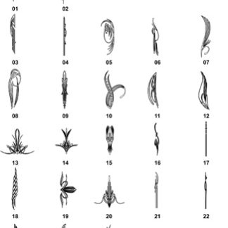 DXF Pinstripe Designs 8