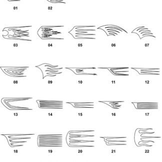 DXF Skulls & Flame Designs 3