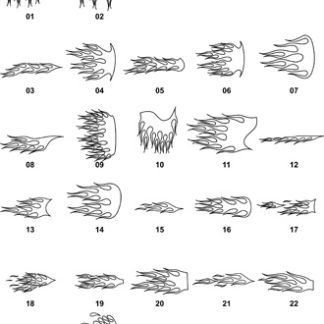 DXF Skulls & Flame Designs 5